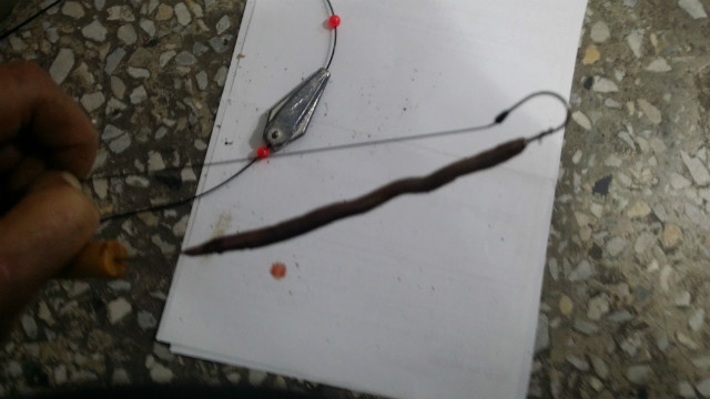 20180621_195310.jpg
