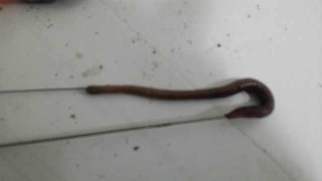 20180621_195400.jpg