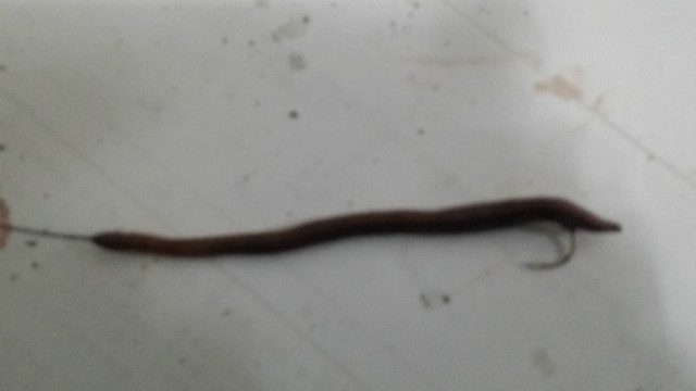 20180621_195507.jpg